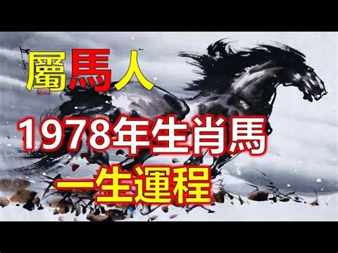 1978年屬馬2023年運勢|【1978年屬馬2023年運勢】屬馬人驚喜！1978年屬馬2023年運勢。